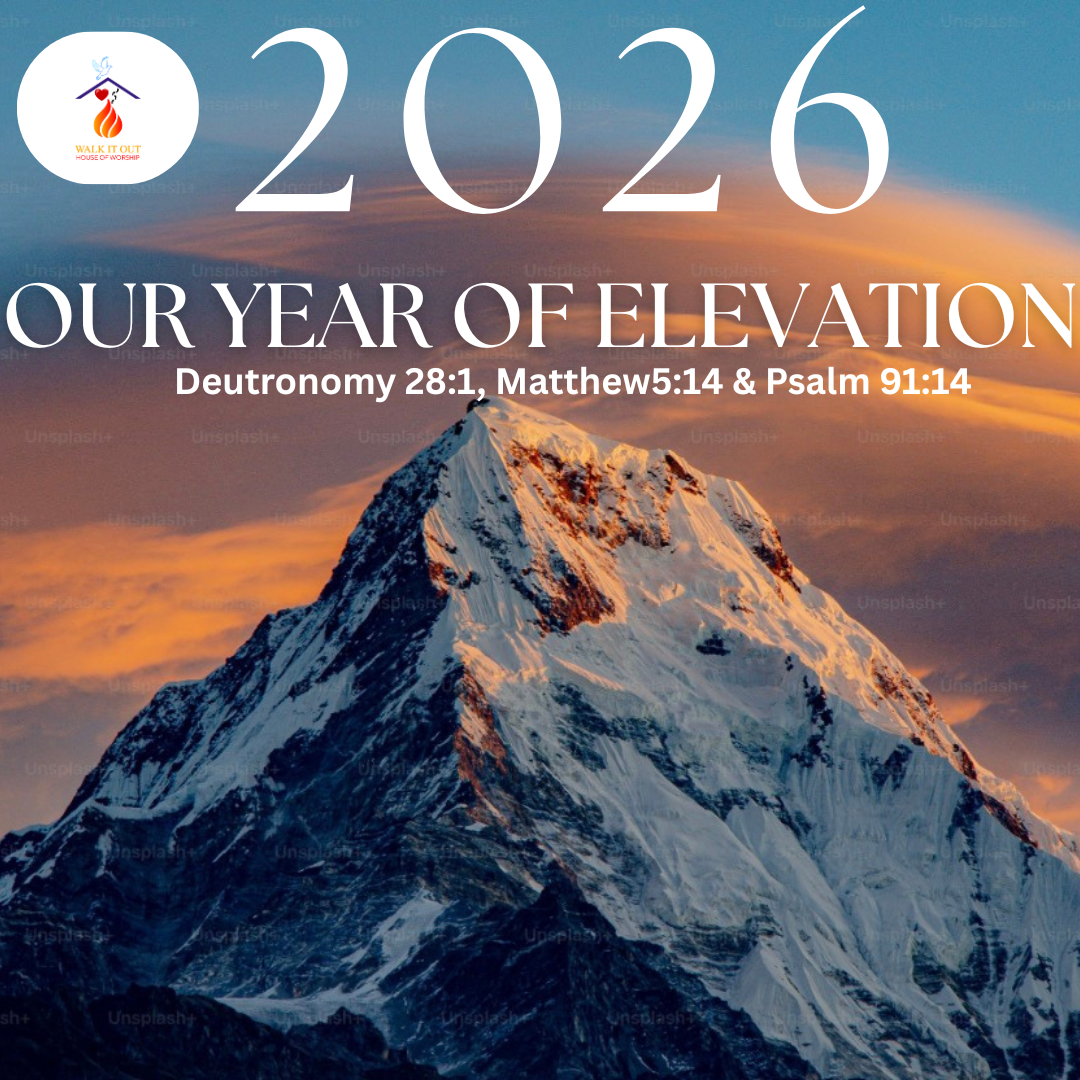 C15F8BF1-5258-4F3E-A3DC-AD76BAA20E45